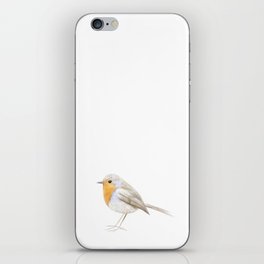 Cute robin iPhone Skin