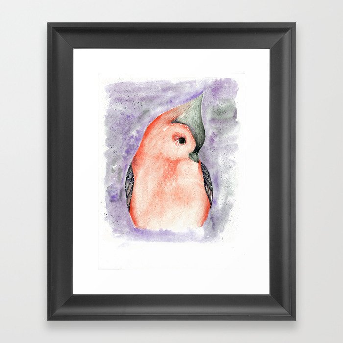 Bird Framed Art Print