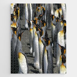 King Penguin Group Standing in a Row Jigsaw Puzzle