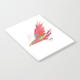 Polygonal-Eagle Notebook
