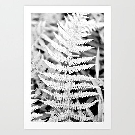Walking In The Woods Art Print