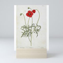 Red Poppy by Elizabeth Blackwell from "A Curious Herbal," 1737 (benefits The Nature Conservancy) Mini Art Print