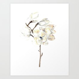 Magnolia blossom flowers Watercolor Art Print