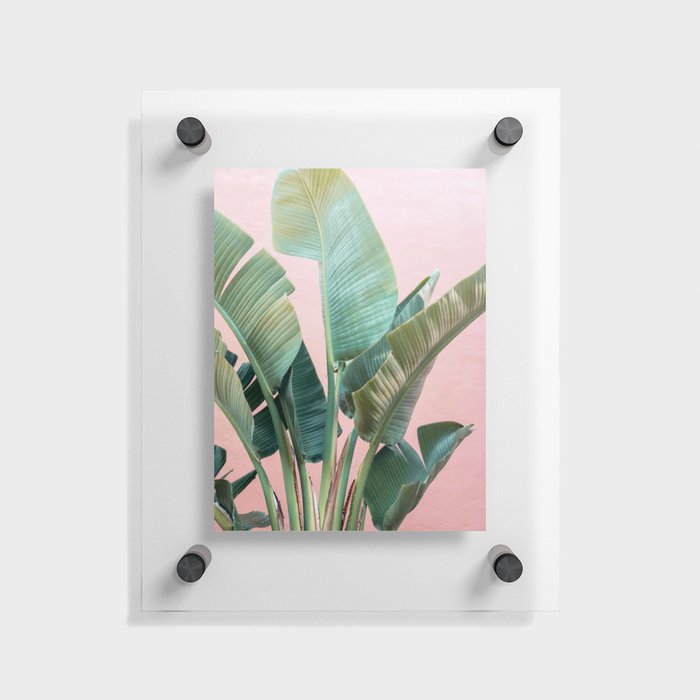 Tropic Pink #1 - Modern Botanical Photograph Floating Acrylic Print