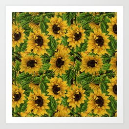 Vintage & Shabby Chic - Sunflowers Flowe Garden Art Print