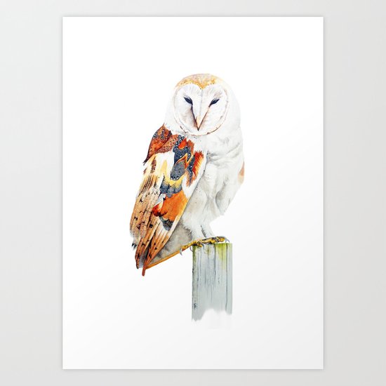 Barn Owl Art Print