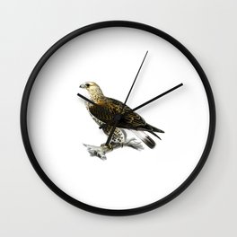 Vintage Rough Legged Hawk Bird Illustration Wall Clock