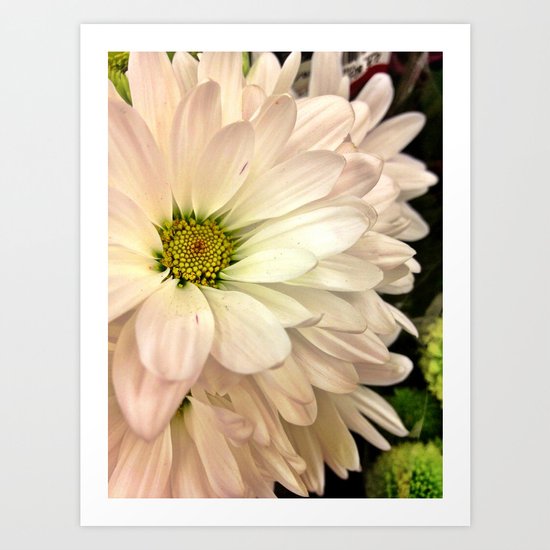 Daisy on Daisy Art Print