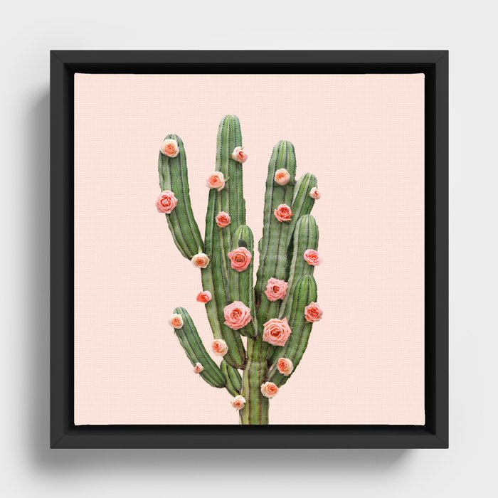 Framed Canvas