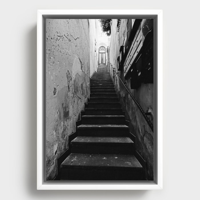 Framed Canvas