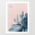 blue Agave - rosé Art Print