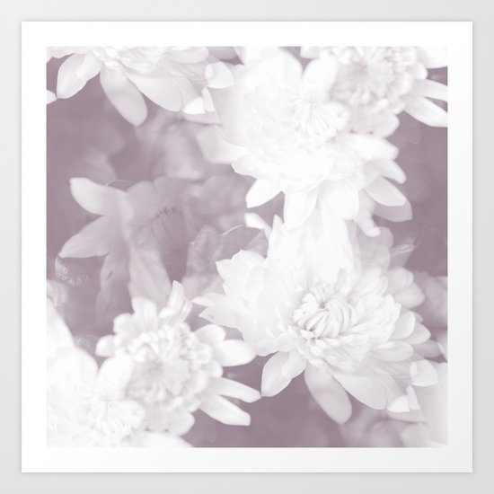 Elegant beauty - white flowers on purple background Art Print
