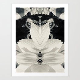 Petals symmetry, collection, black and white, bw, set Art Print