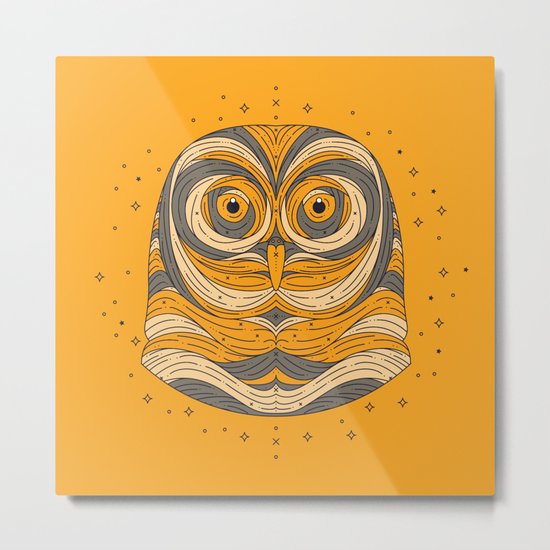 Owl Metal Print
