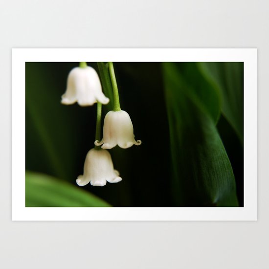 Lily of the Valley Art Print