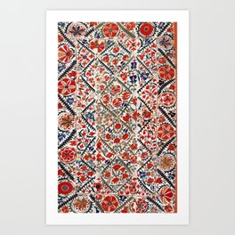 Bokhara Nim Suzani Southwest Uzbekistan Embroidery Print Art Print