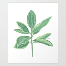 Leafy Plant Art Print