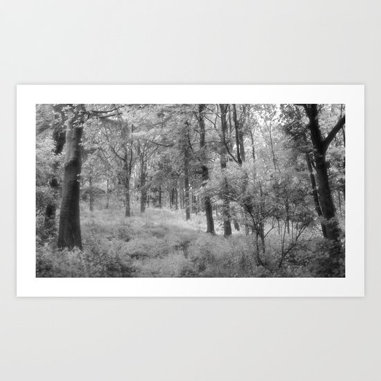 Platinum Forest Art Print