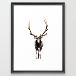 Buck Framed Art Print