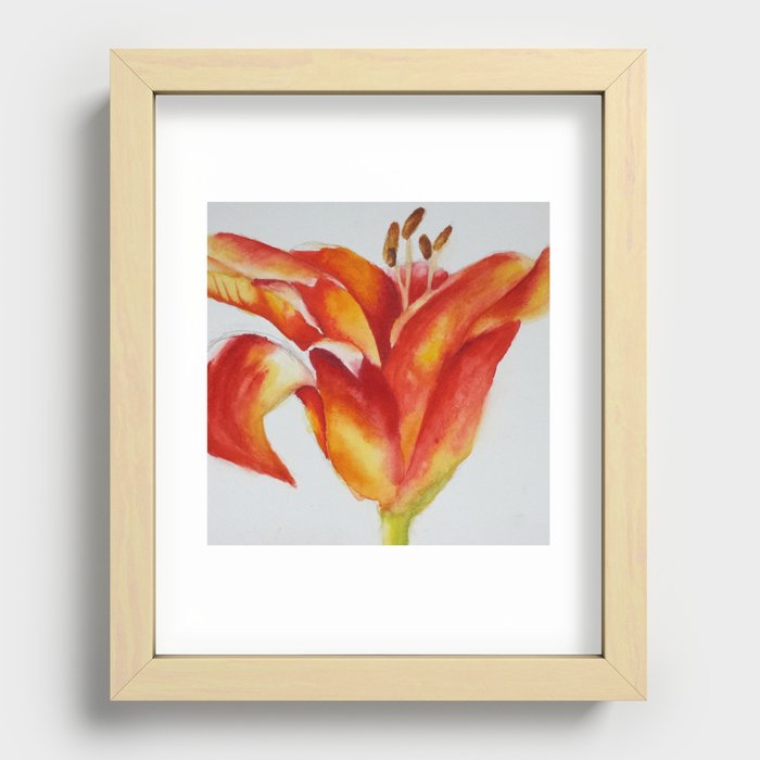 Red Lily Watercolor Recessed Framed Print