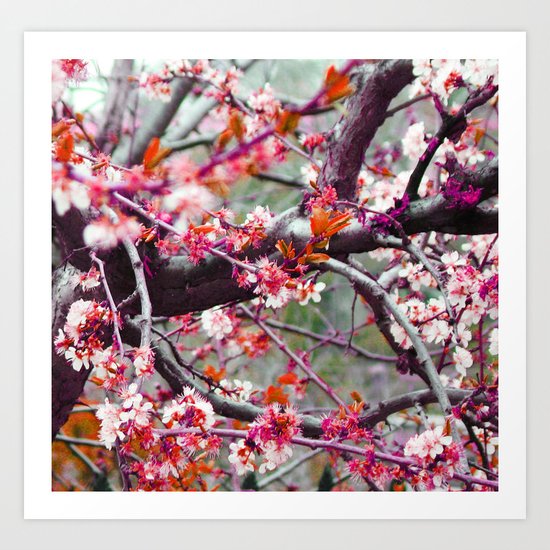 it maybe summer, it maybe spring, i can't remember_2 Art Print