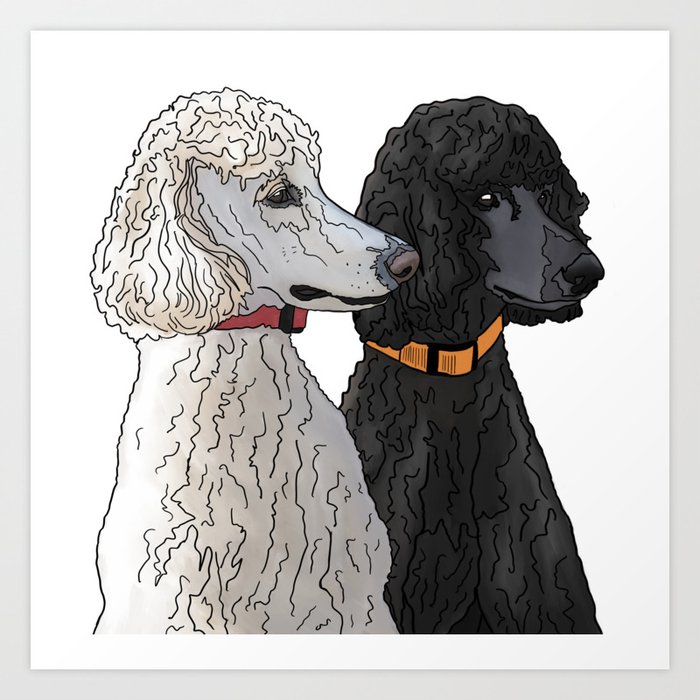 Poodle top art prints