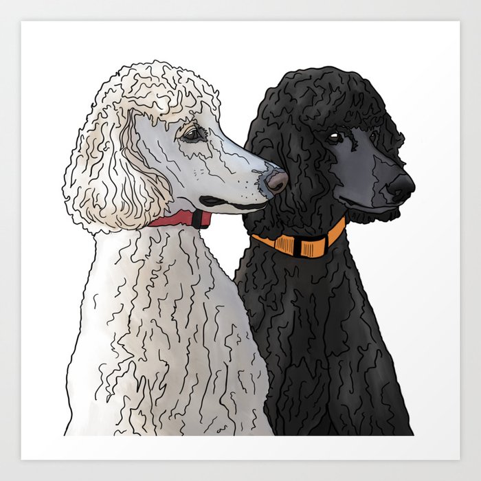 Pair of Poodles Art Print