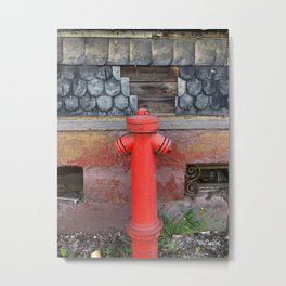 German Fire Hydrant and Fish Scales Metal Print