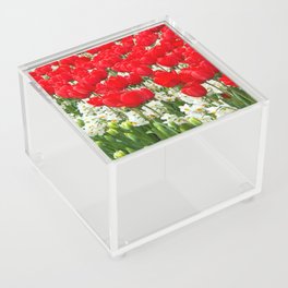 Tulips Acrylic Box