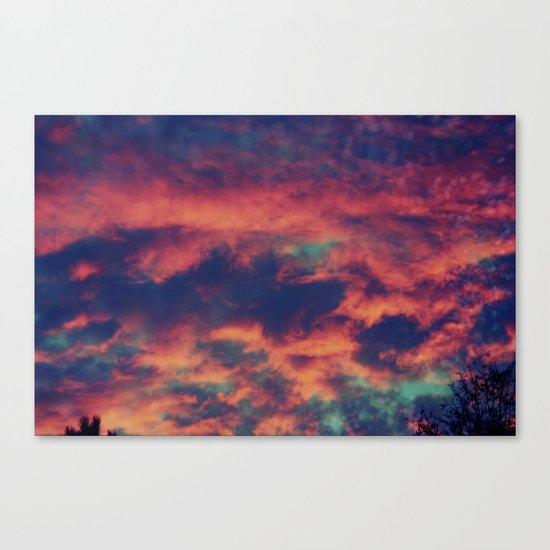 Playful Daydream Canvas Print