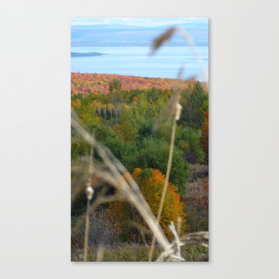 Fall in colors Canvas Print