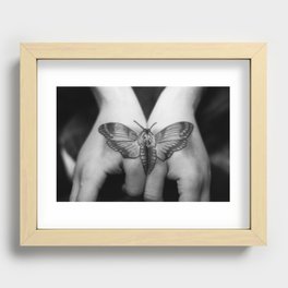 Moth Recessed Framed Print