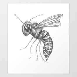 Wasp Art Print
