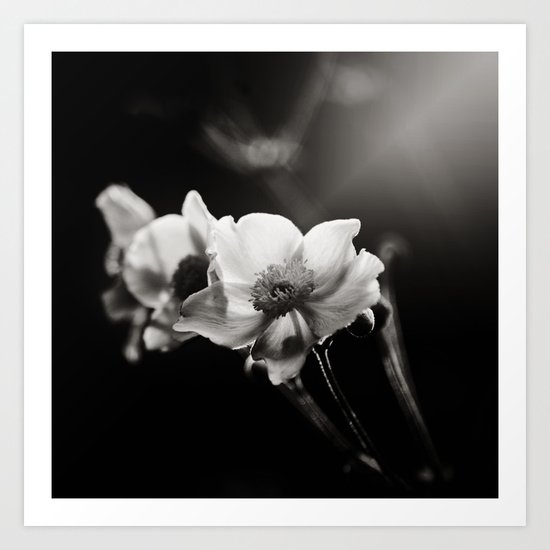 Anemonish Art Print