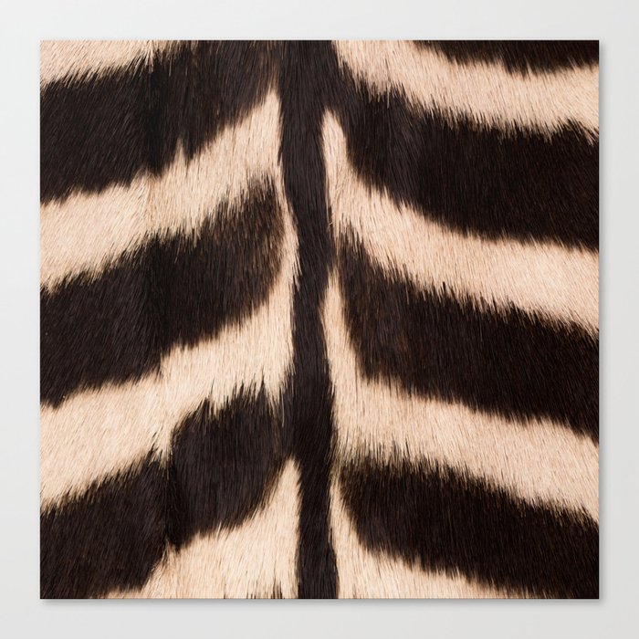 Zebra - zebra stripes -zebra skin - genuine - beautiful  Canvas Print