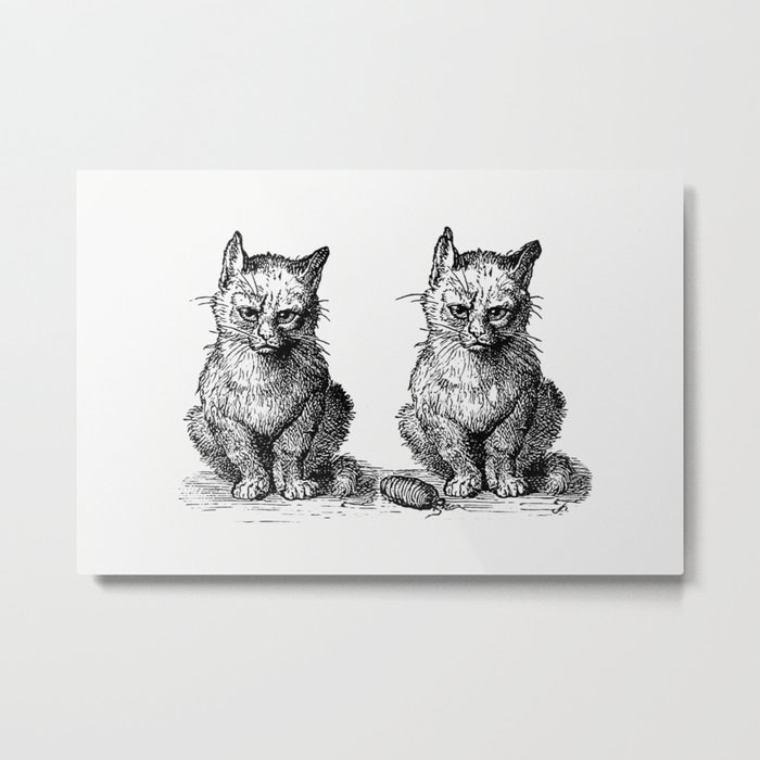 Vintage Victorian Cats Engraving Metal Print