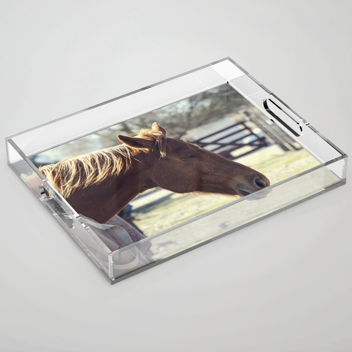Serenity in the Stable: Captivating Photo of a Horse at Peace – Eyes Closed, Mane Dancing in Breeze Acrylic Tray