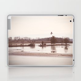 Landscape of Wetlands Laptop & iPad Skin