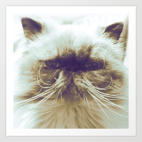 EXOTIC CAT Art Print