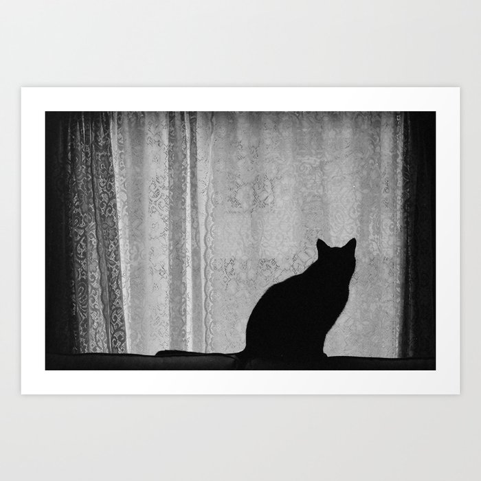 Black Cat Silhouette On Lace Curtains Art Print By Snipsandscraps