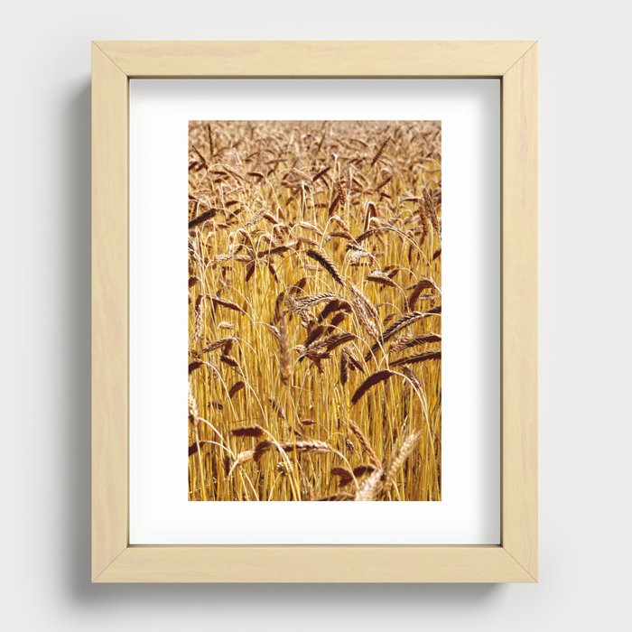 High grain image Recessed Framed Print