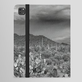 Saguaro Desert Landscape iPad Folio Case