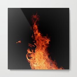 True Fire Metal Print | Nature 