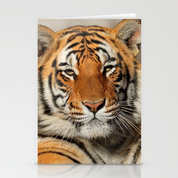 Close up portrait of a tiger Stationery Cards