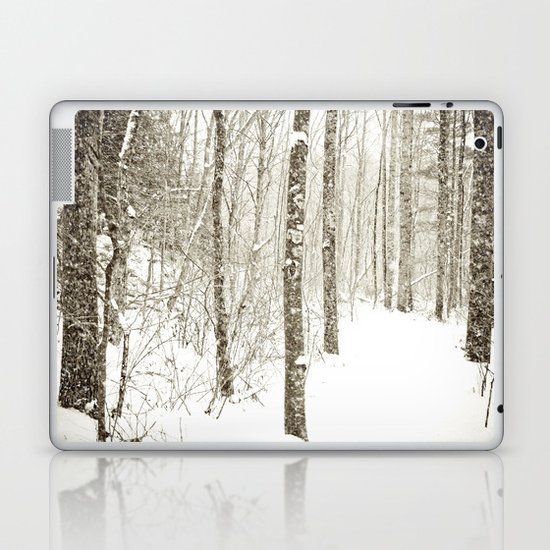 Wintry Mix Laptop & iPad Skin