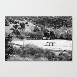 Horse Ranch Canvas Print