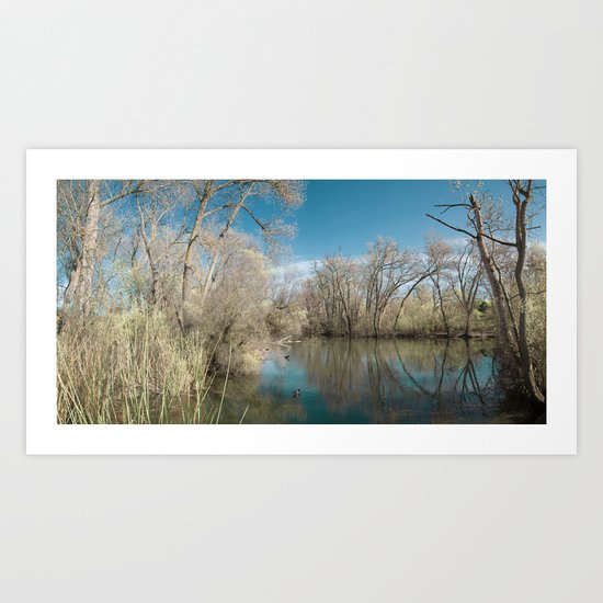 Pond Water Art Print