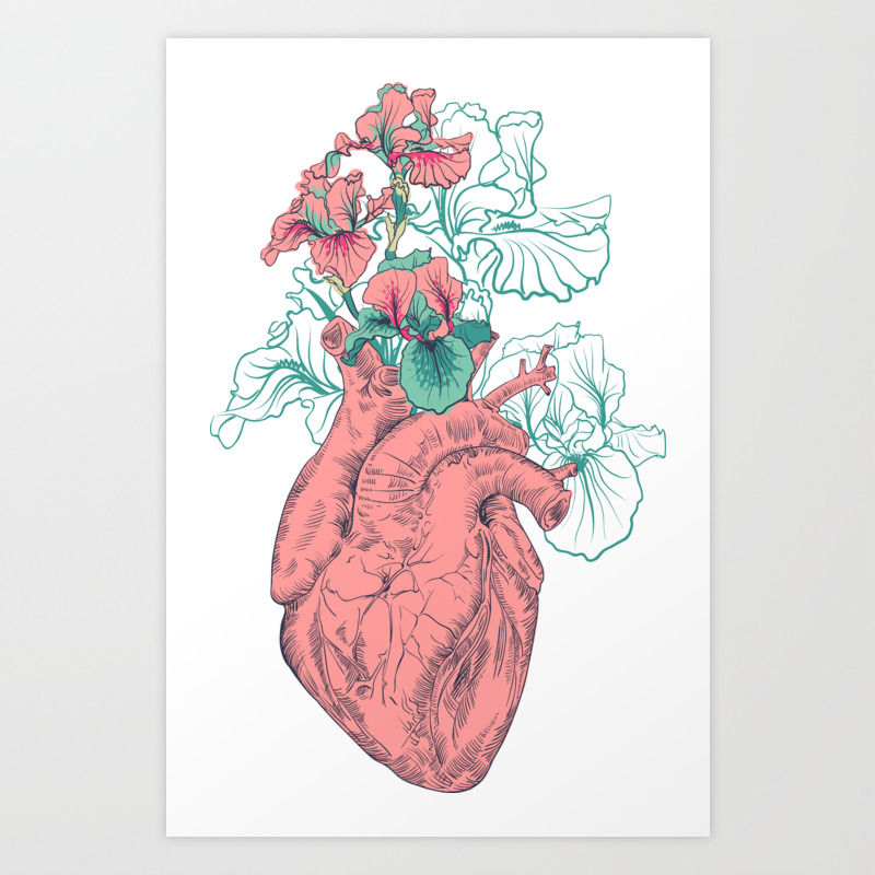Featured image of post Heart Drawing Images Human