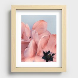blush pink flower Recessed Framed Print