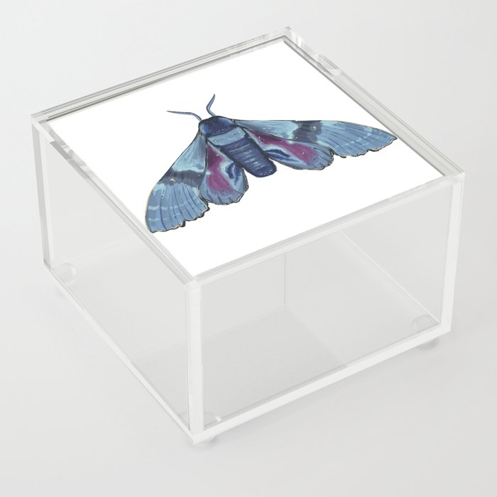 Moth,blue Acrylic Box